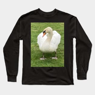 From Ugly Duckling to Beautiful Swan - Royalty in the Village Long Sleeve T-Shirt